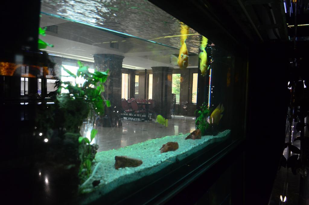 Hotel Best Ploiesti Luaran gambar